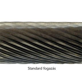 Standard fogazás
